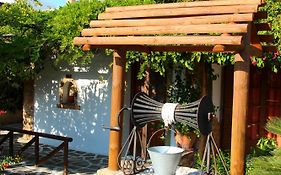 Dimitra Studios